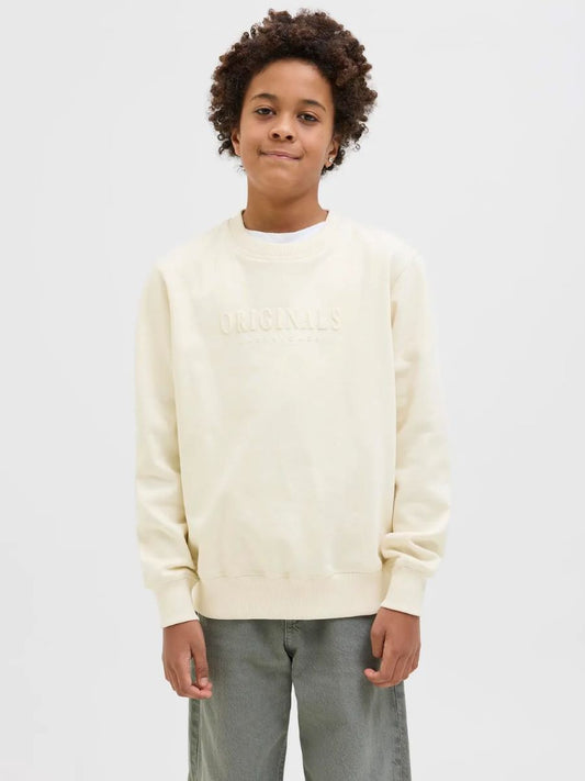 Jack & Jones Jungen Sweatshirt edel 12274593 JORFREDERIKSBERG