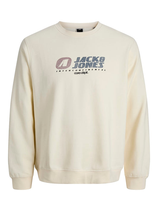 Jack & Jones Jungen Sweatshirt JCOTIER PRINT SWEAT CREW