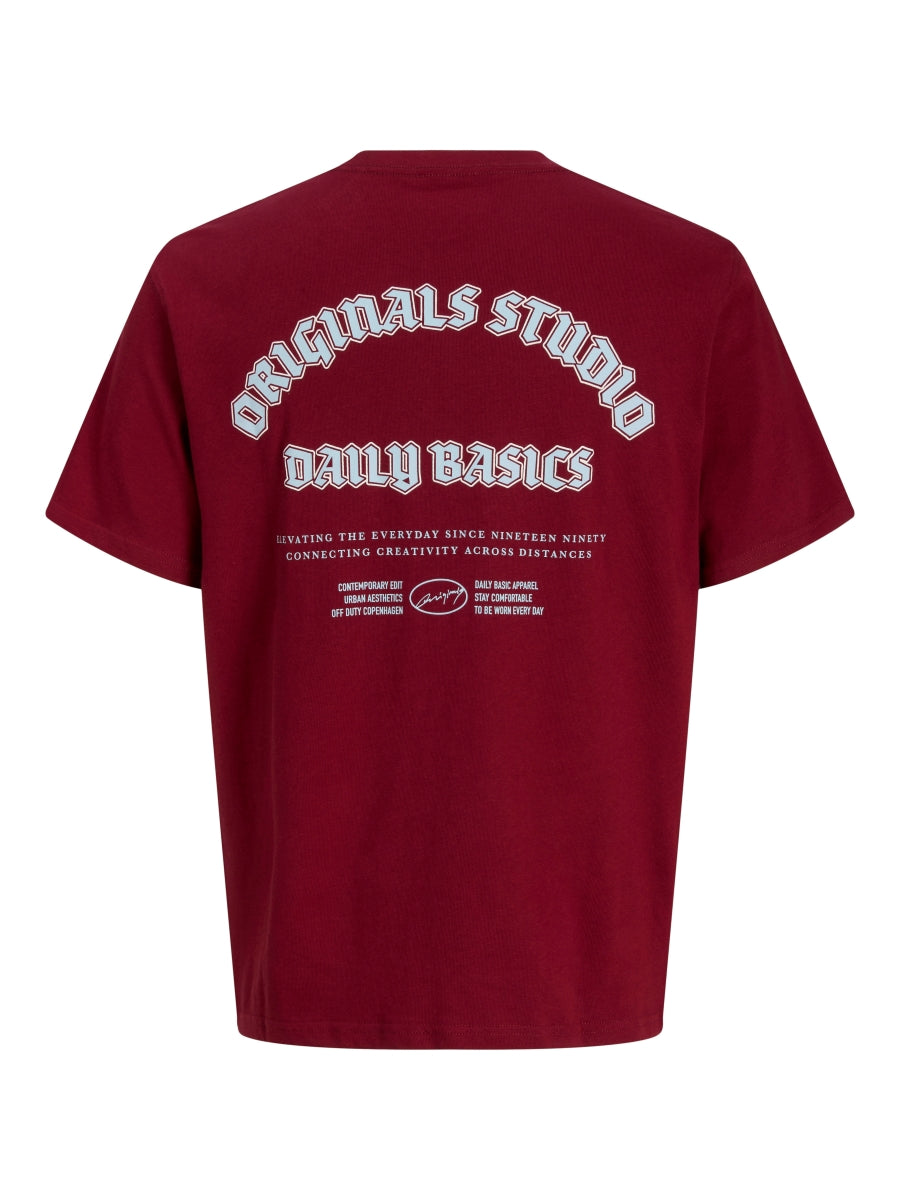 Jack & Jones Jungen T-Shirt JORMEADOWS