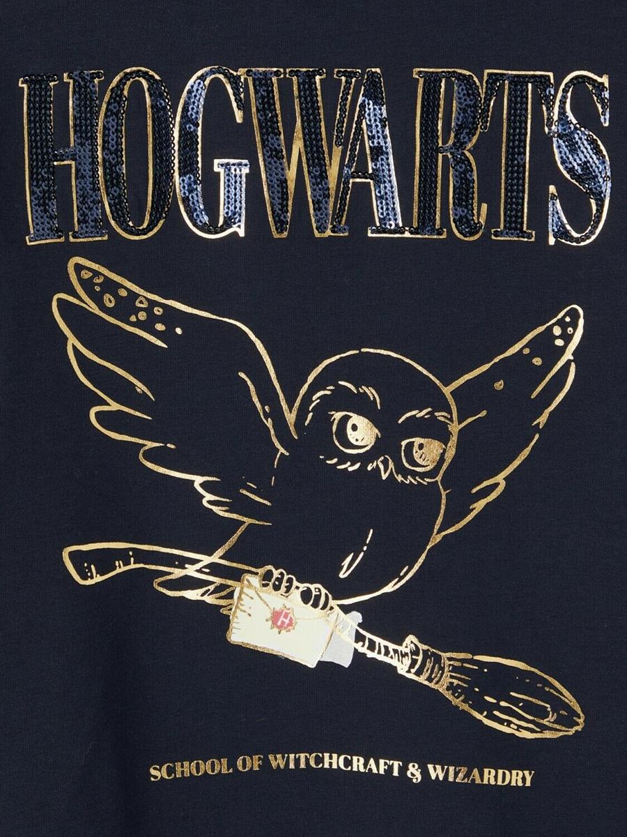 Name it Kinder Sweatshirt Harry Potter Geschenkidee NKFHARRYPOTTER