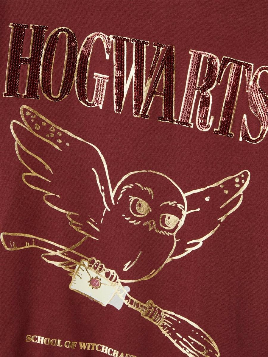Name it Kinder Sweatshirt Harry Potter Geschenkidee NKFHARRYPOTTER