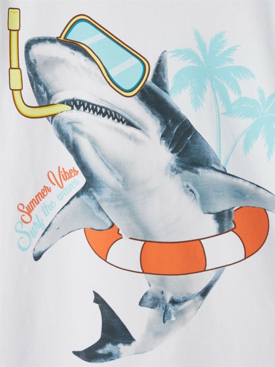Jungen T-Shirt Haifisch Schildkröte Organic Cotton Blau Weiß Geschenk