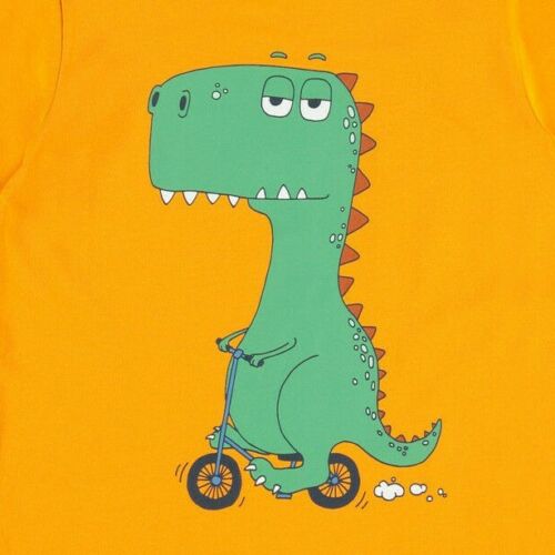 Jungen T-Shirt Dinosaurier Geschenkidee Organic Cotton cool
