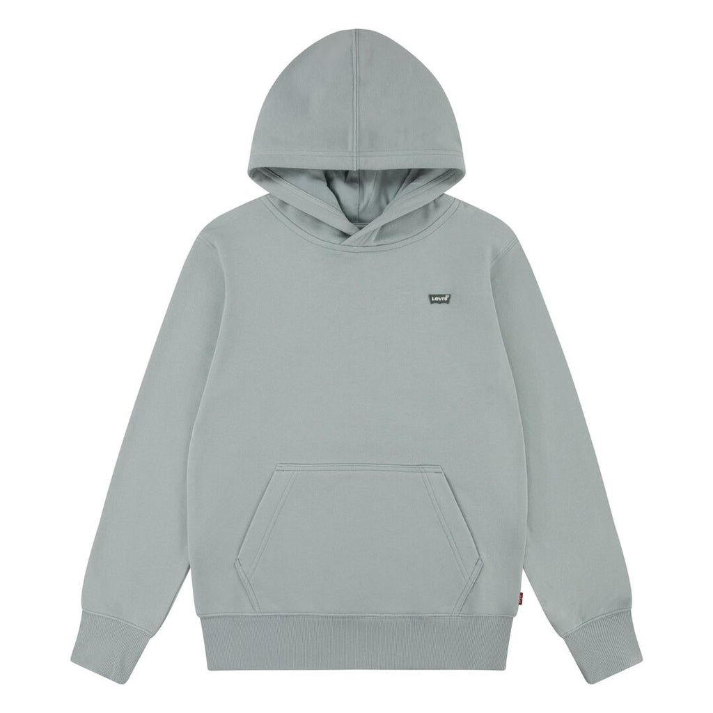 Levi's® Kids Jungen Hoodie Kapuzenpullover Sweatshirt Grün