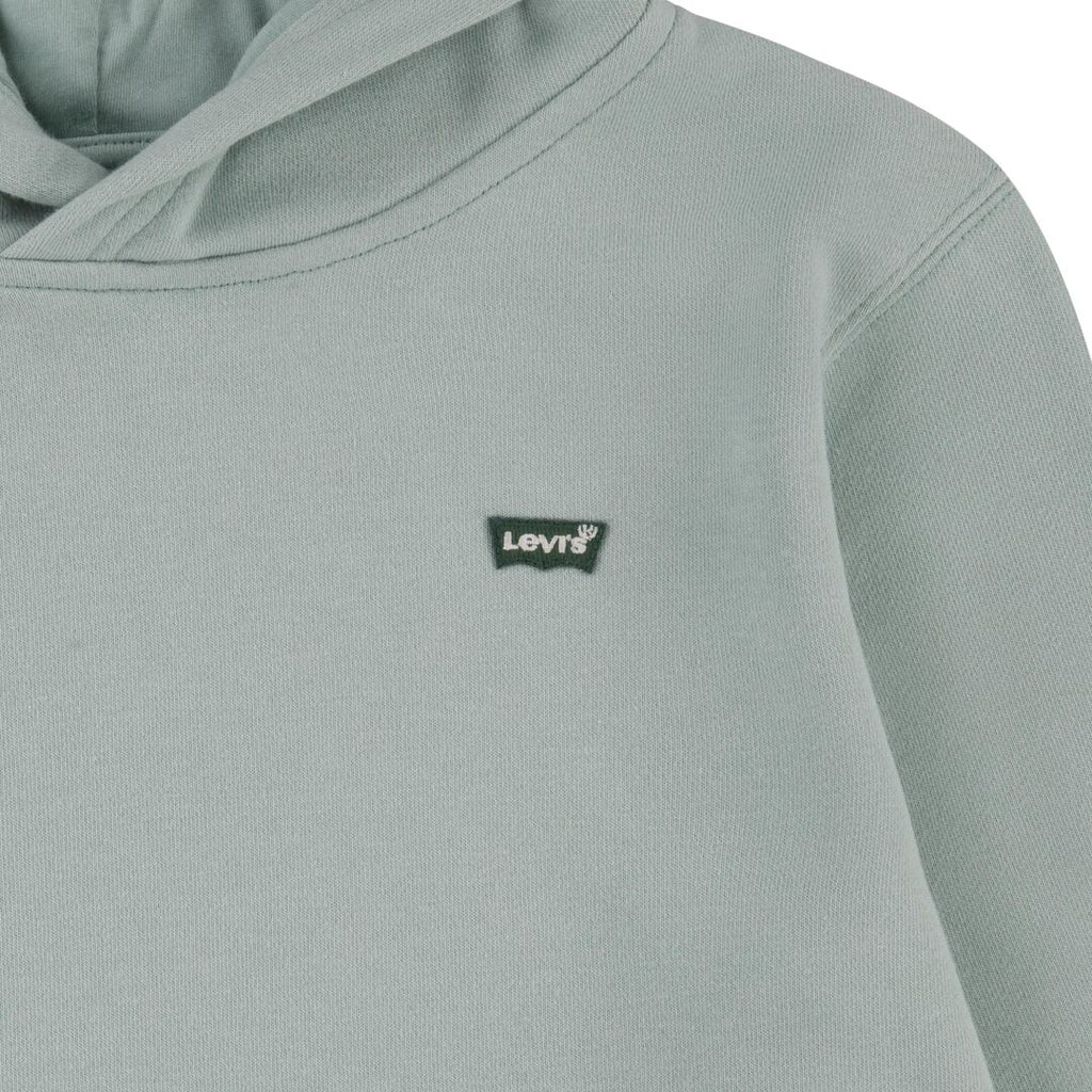 Levi's® Kids Jungen Hoodie Kapuzenpullover Sweatshirt Grün