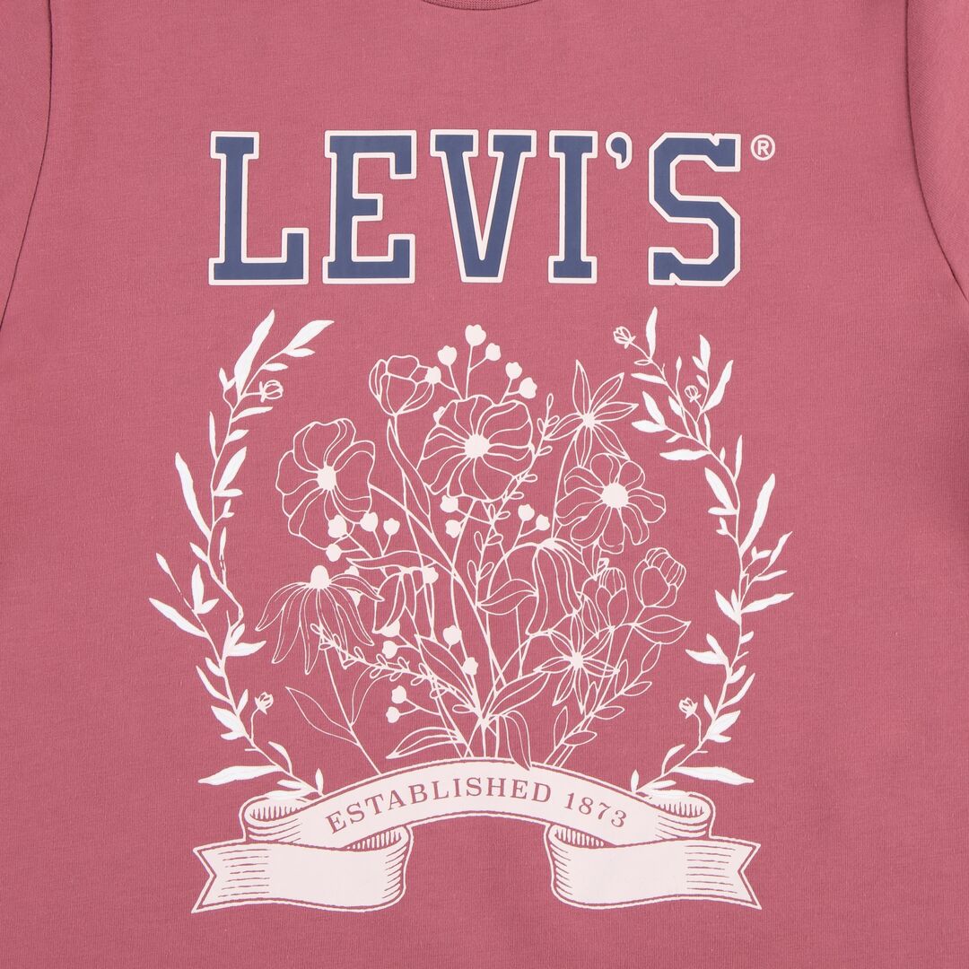 Levi's® Kids Mädchen T-Shirt LVG COLLEGIATE SS T-SHIRT Rosewein