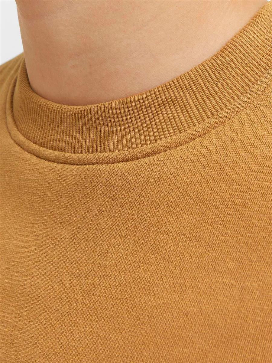 Jack & Jones Jungen Sweatshirt Pulli Loose Rückendruck warm JCORCOLLEC