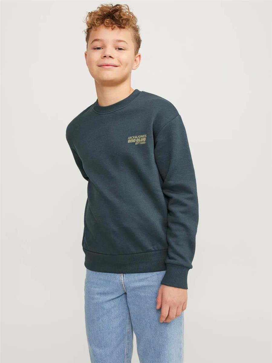 Jack & Jones Jungen Sweatshirt Pulli Loose Rückendruck warm JCORCOLLEC