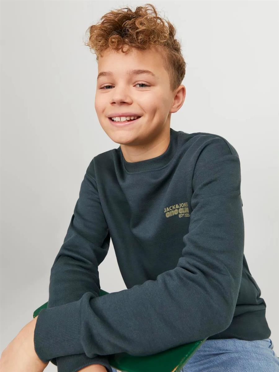 Jack & Jones Jungen Sweatshirt Pulli Loose Rückendruck warm JCORCOLLEC
