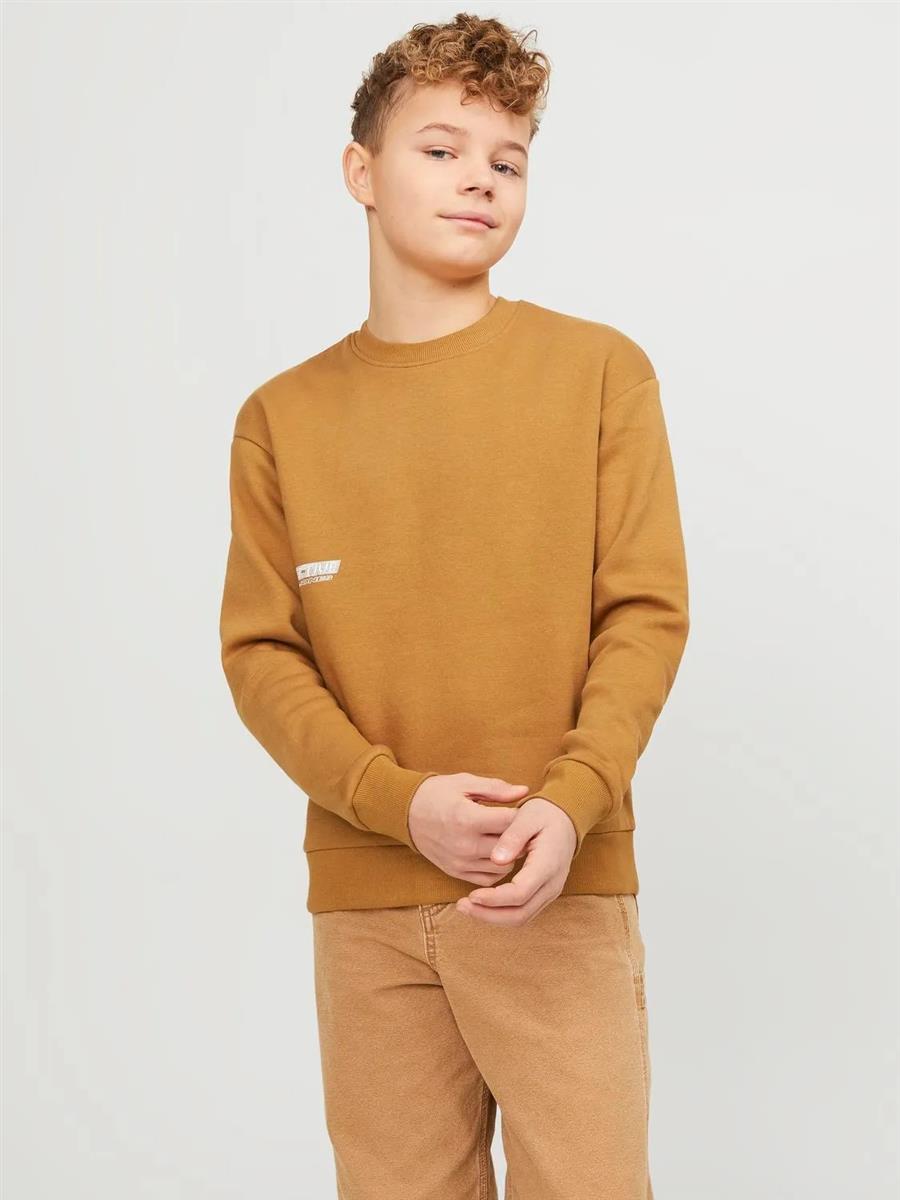 Jack & Jones Jungen Sweatshirt Pulli Loose Rückendruck warm JCORCOLLEC