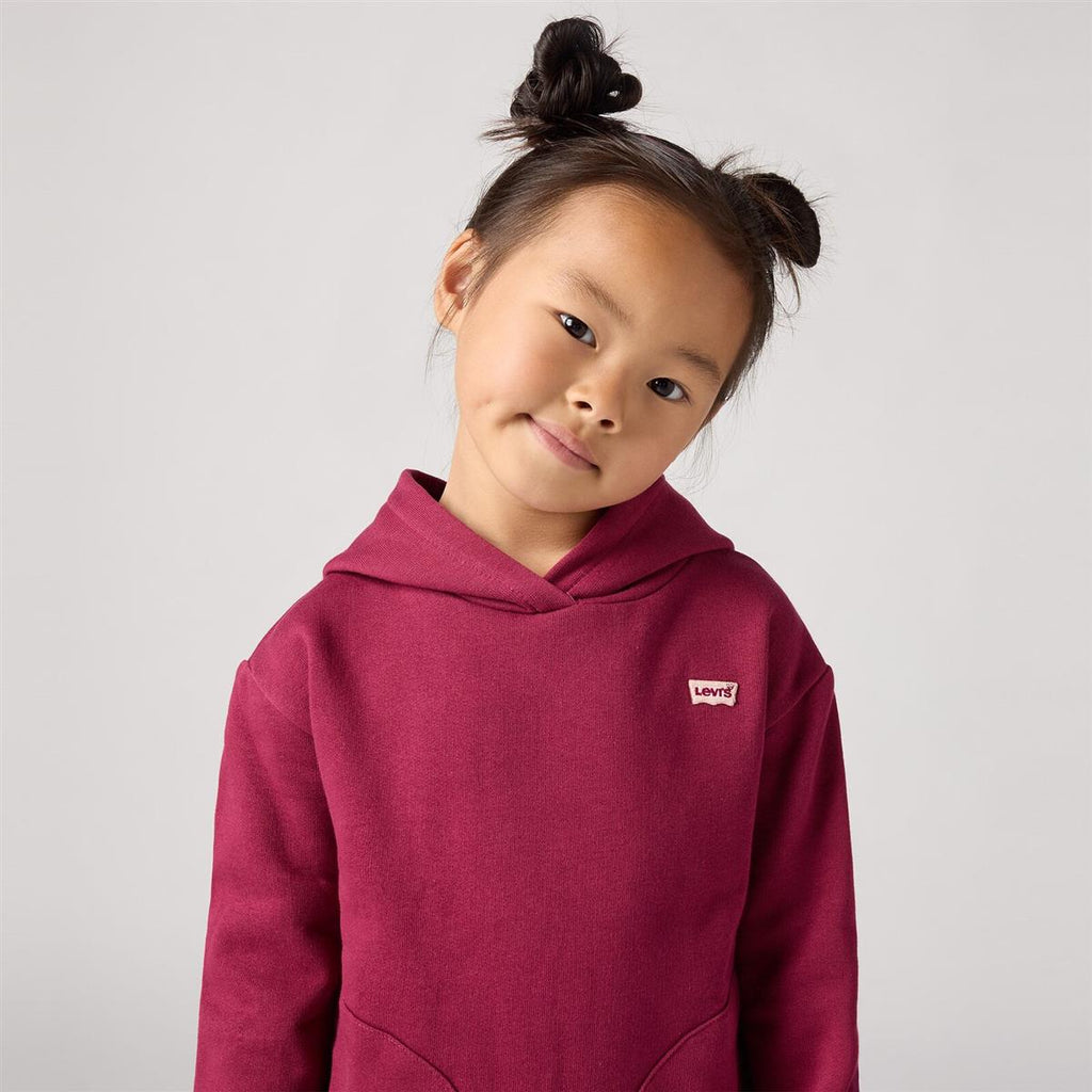 Levi's® Kids Mädchen Kapuzenpullover LVG-BATWING CHEST HIT HOODIE