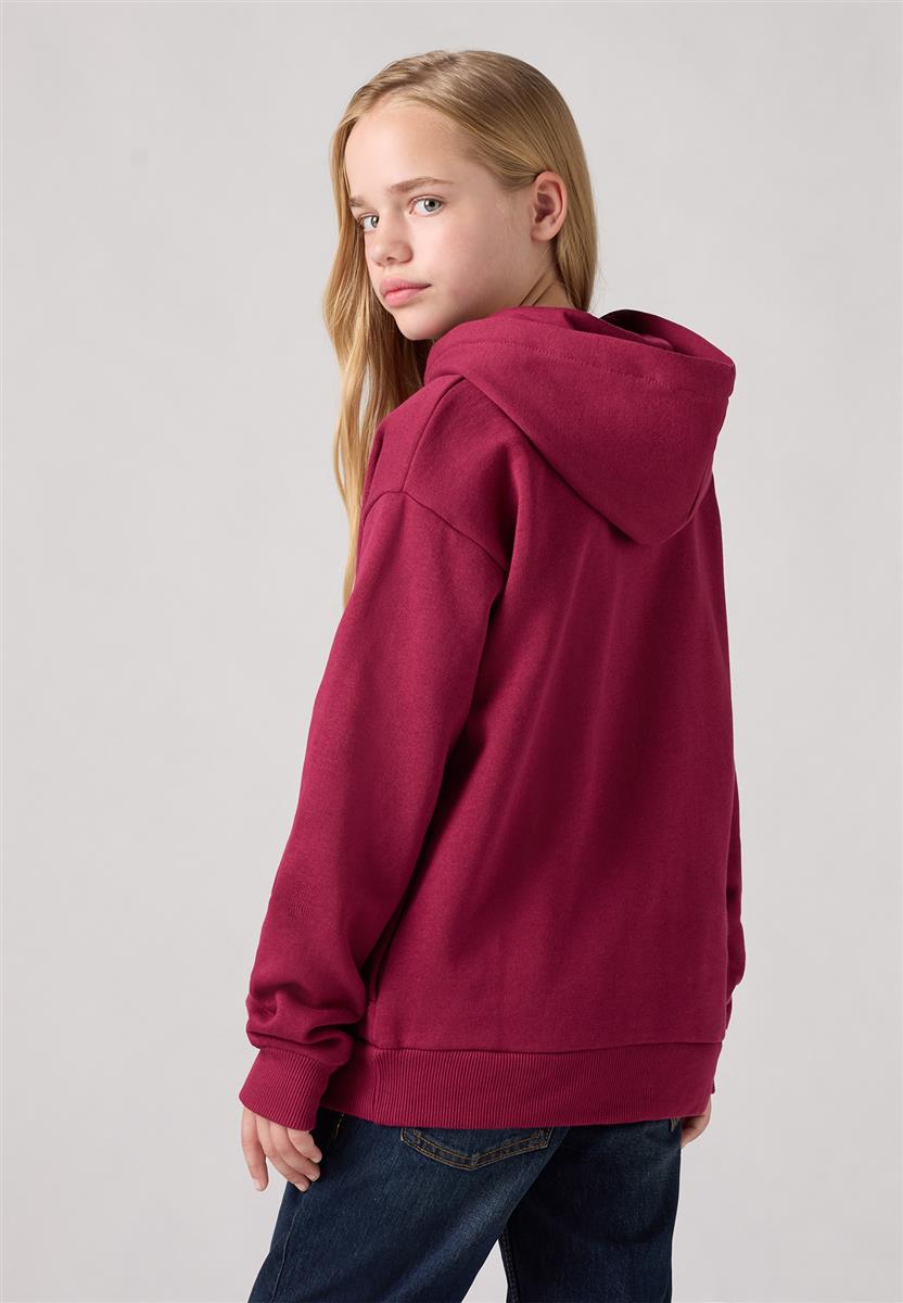 Levi's® Kids Mädchen Kapuzenpullover LVG-BATWING CHEST HIT HOODIE