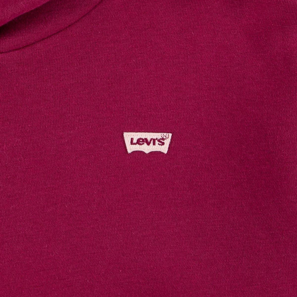 Levi's® Kids Mädchen Kapuzenpullover LVG-BATWING CHEST HIT HOODIE