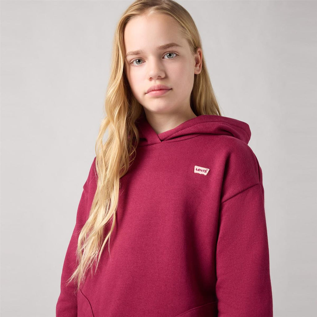 Levi's® Kids Mädchen Kapuzenpullover LVG-BATWING CHEST HIT HOODIE