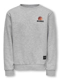 Only Jungen Sweatshirt Pulli Rückendruck Stickerei KOBCALIFORNIA