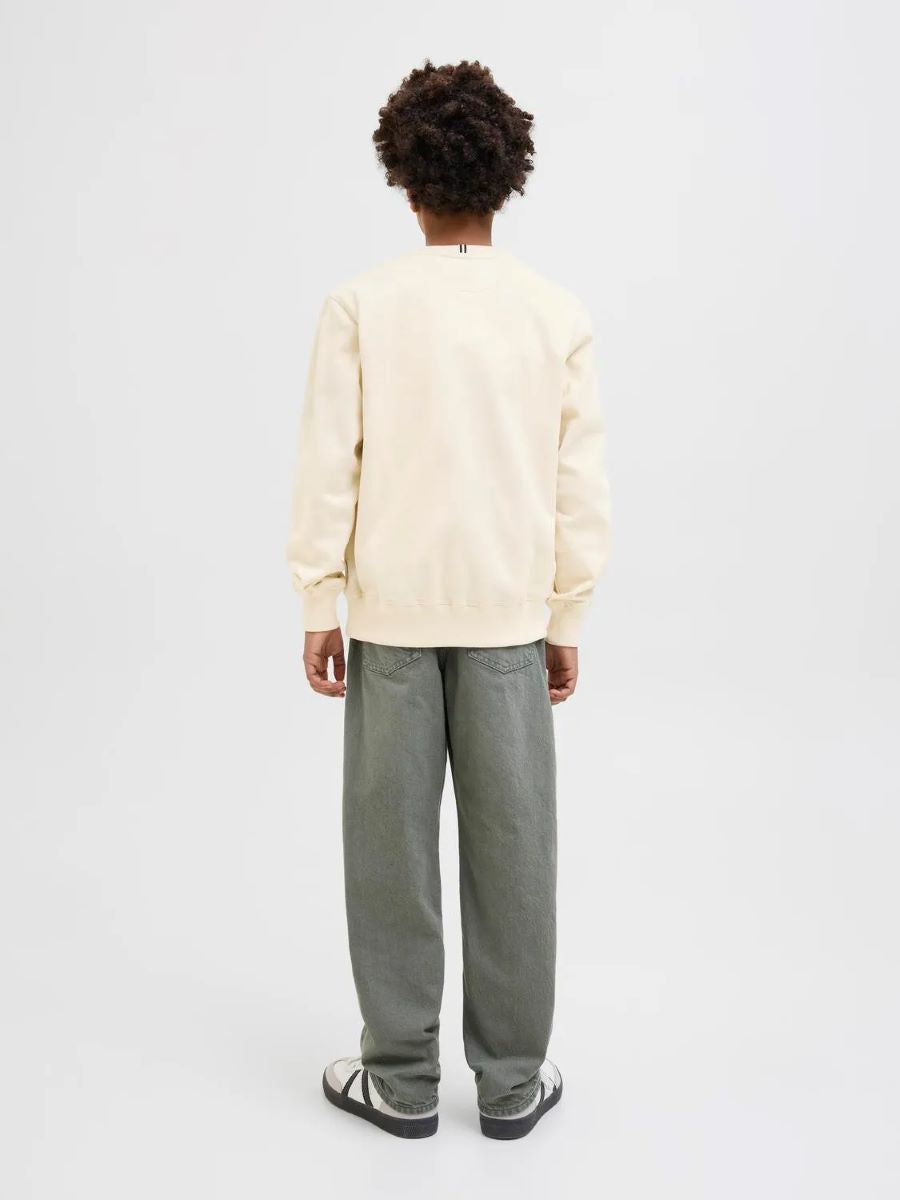 Jack & Jones Jungen Sweatshirt edel 12274593 JORFREDERIKSBERG