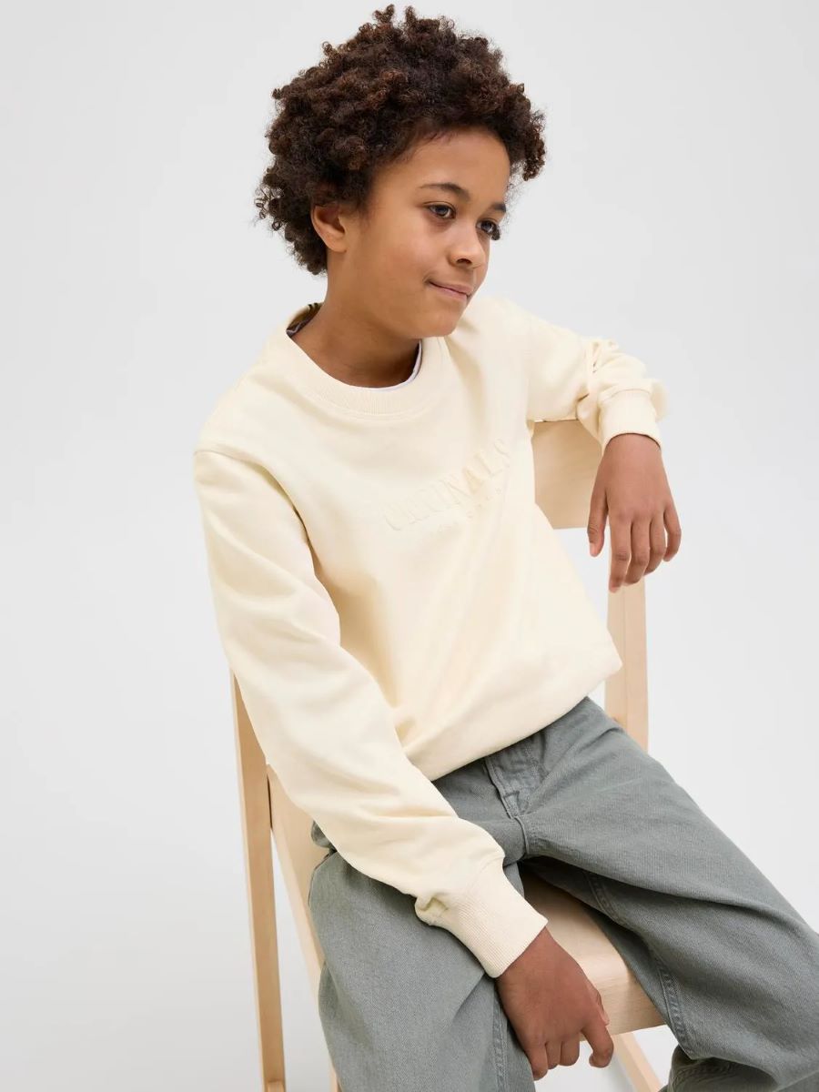 Jack & Jones Jungen Sweatshirt edel 12274593 JORFREDERIKSBERG