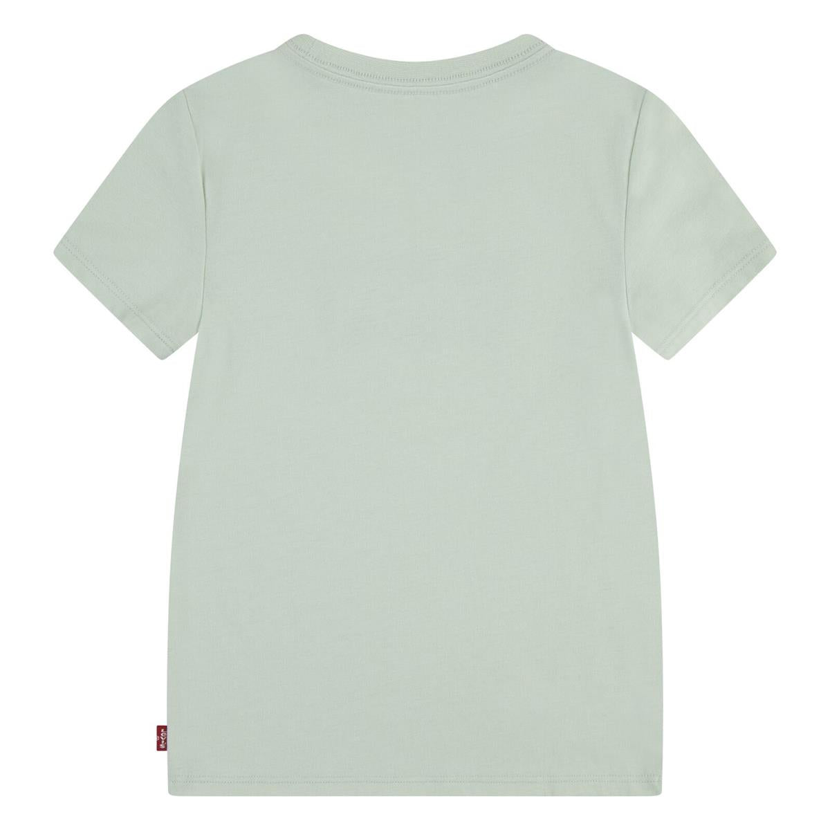 Levi's® Kids Mädchen T-Shirt LVG BATWING TEE