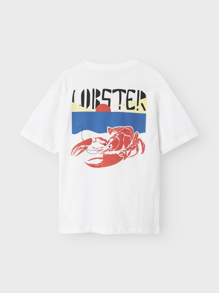 Name it Jungen T-Shirt SS NREG Geschenkidee NKMFONNOT