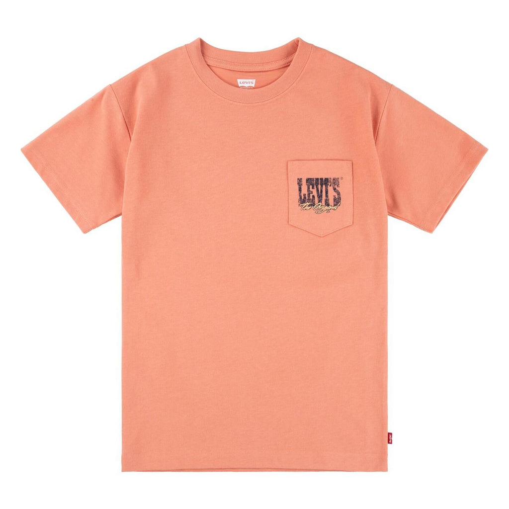 Levi's® Kids Jungen T-Shirt LVB CANYON LANDSCAPE Geschenkidee