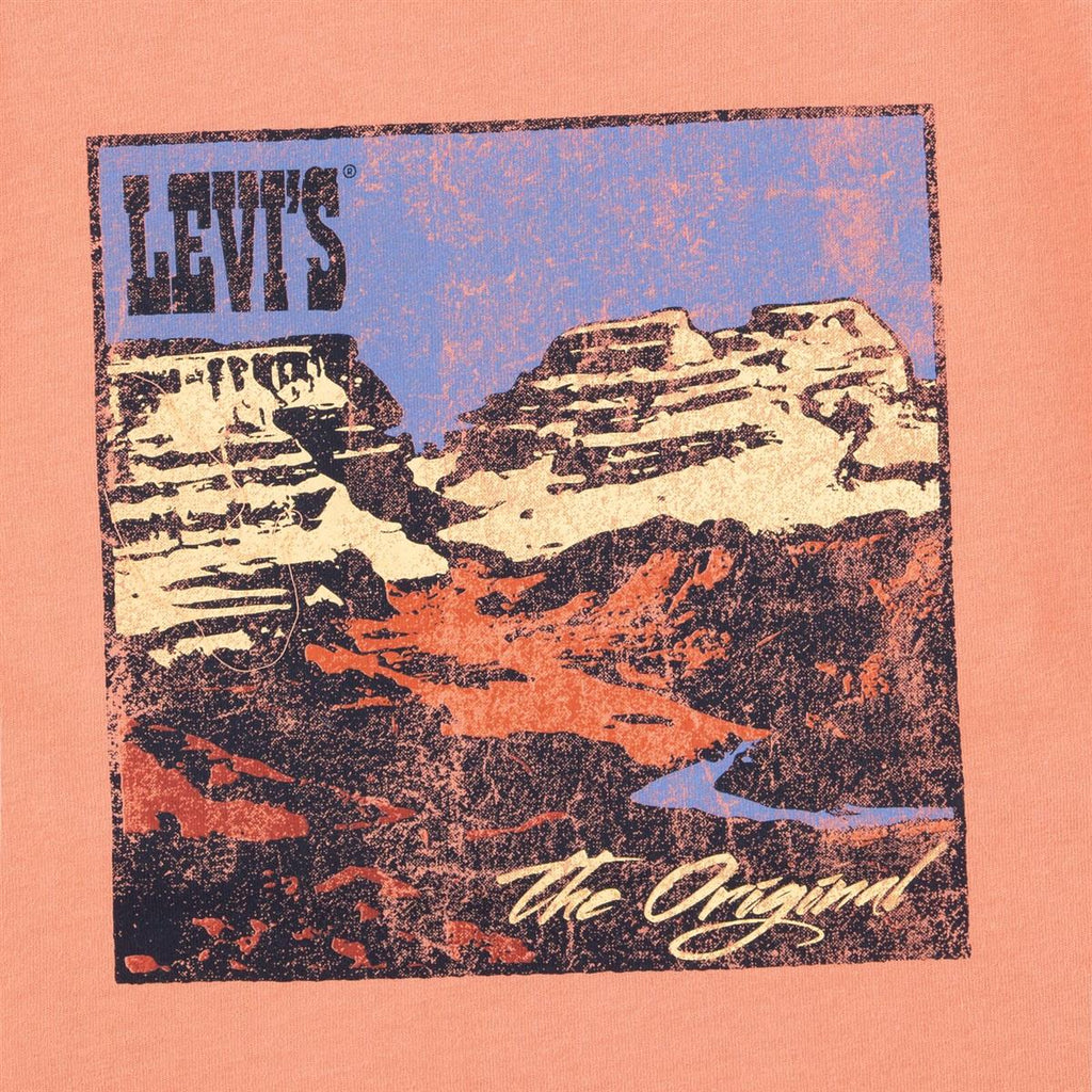 Levi's® Kids Jungen T-Shirt LVB CANYON LANDSCAPE Geschenkidee