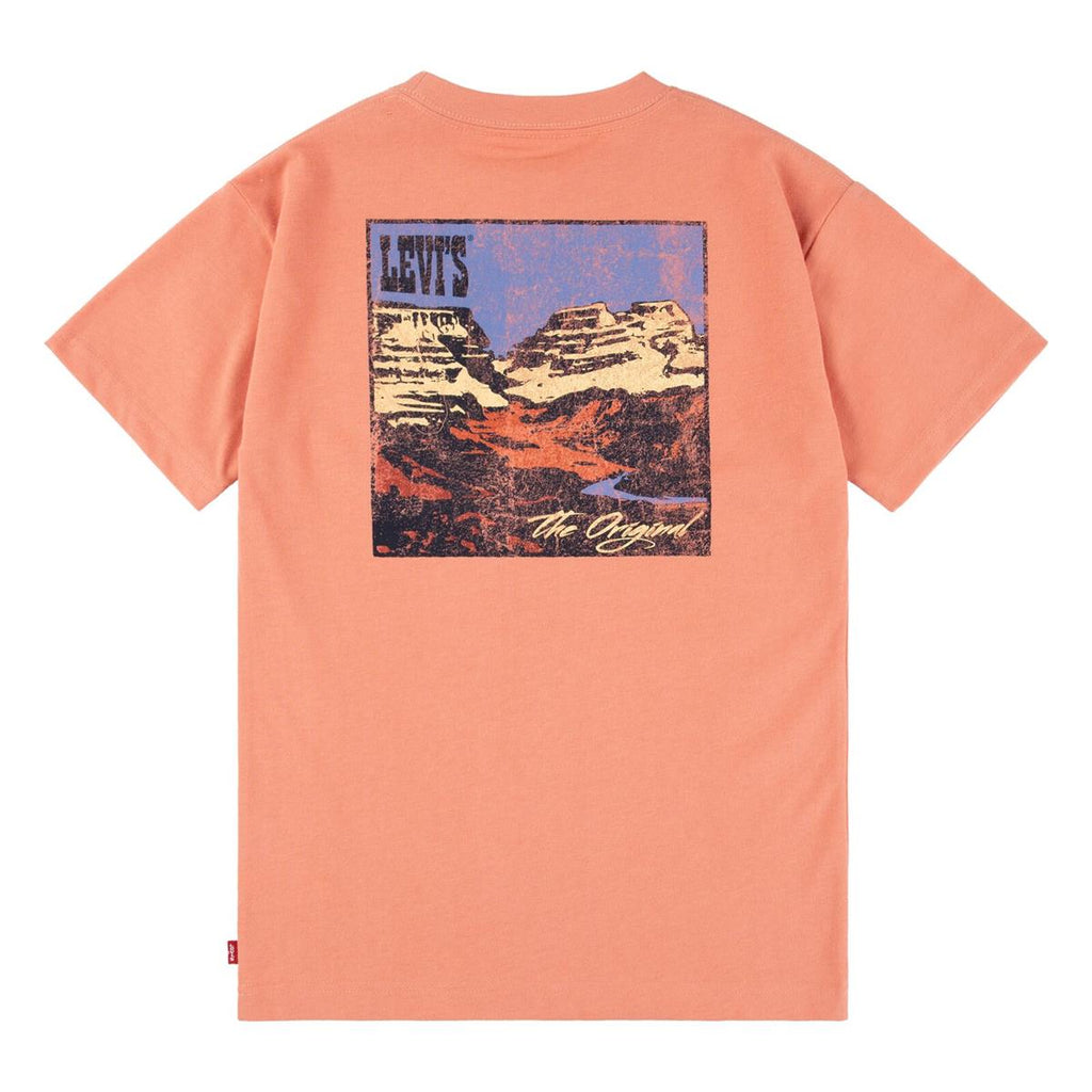 Levi's® Kids Jungen T-Shirt LVB CANYON LANDSCAPE Geschenkidee