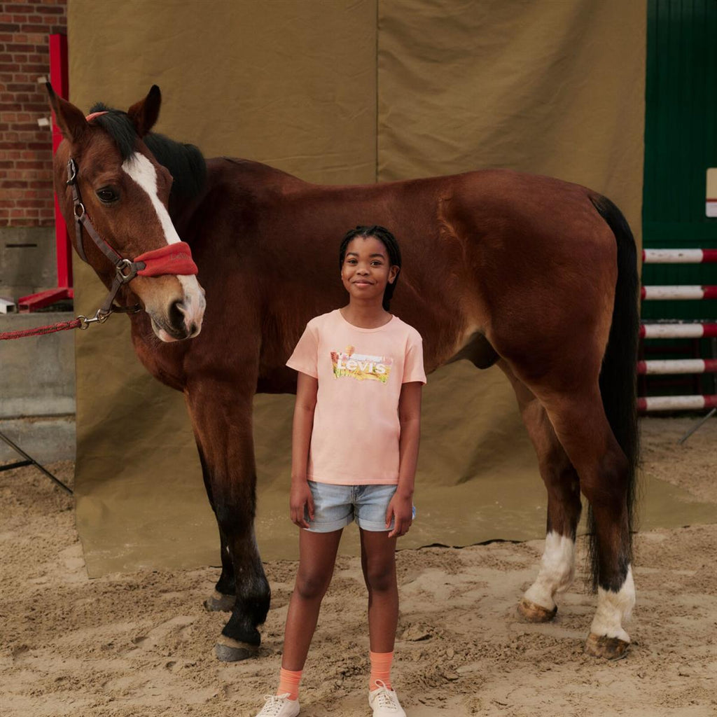 Levi's® Kids Mädchen T-Shirt Heißluftballon Batwing Tee