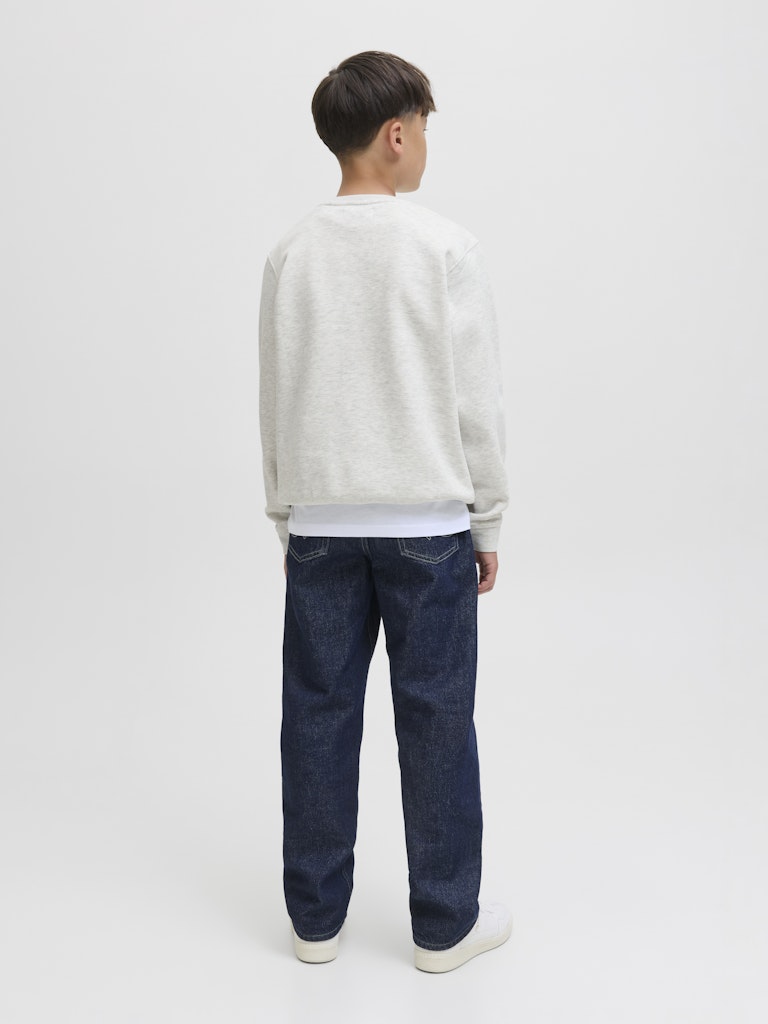 Jack & Jones Jungen Sweatshirt JCOTIER PRINT SWEAT CREW