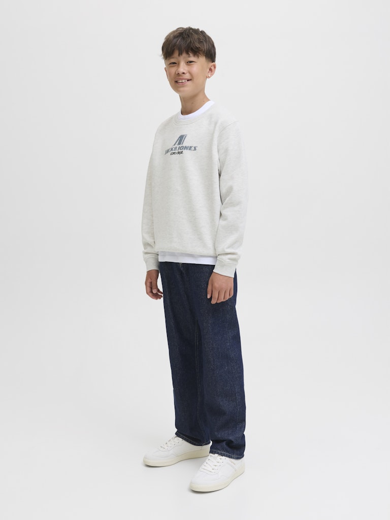 Jack & Jones Jungen Sweatshirt JCOTIER PRINT SWEAT CREW