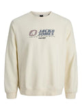 Jack & Jones Jungen Sweatshirt JCOTIER PRINT SWEAT CREW