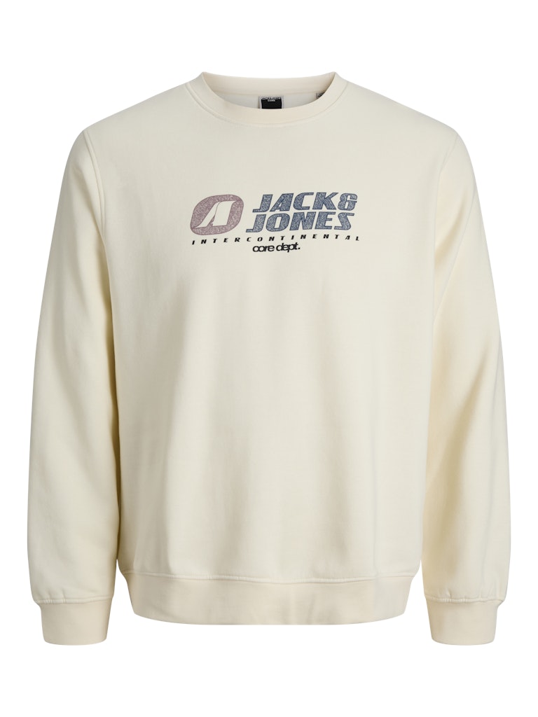 Jack & Jones Jungen Sweatshirt JCOTIER PRINT SWEAT CREW