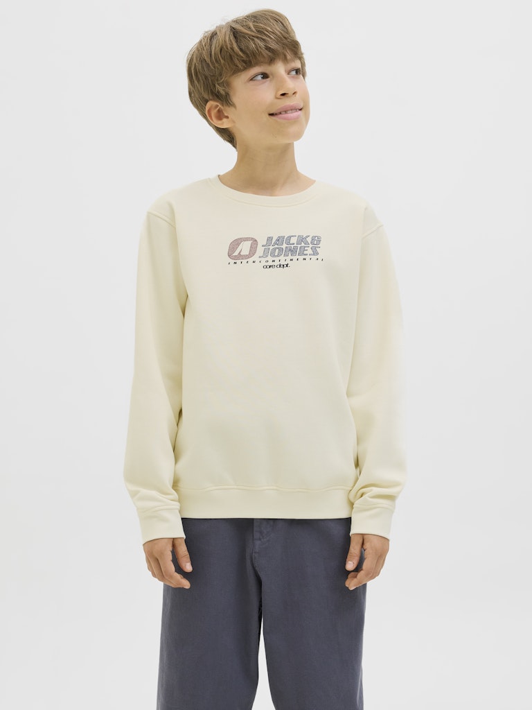 Jack & Jones Jungen Sweatshirt JCOTIER PRINT SWEAT CREW