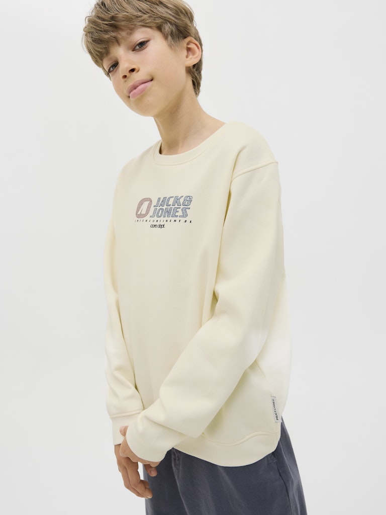 Jack & Jones Jungen Sweatshirt JCOTIER PRINT SWEAT CREW
