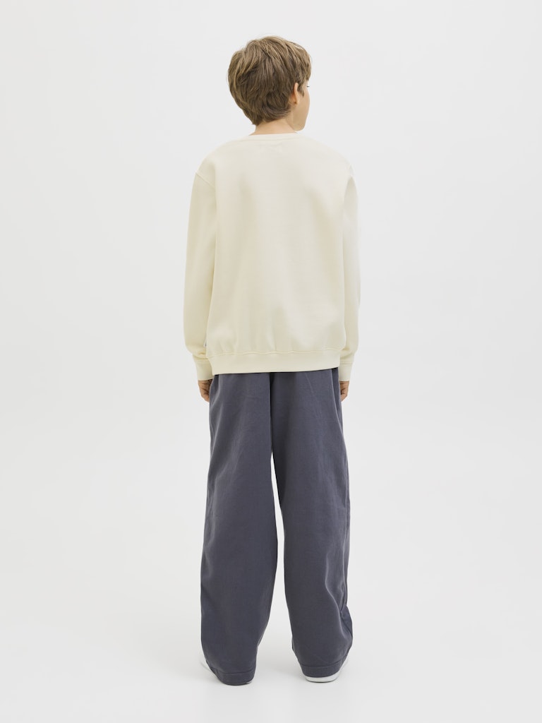 Jack & Jones Jungen Sweatshirt JCOTIER PRINT SWEAT CREW
