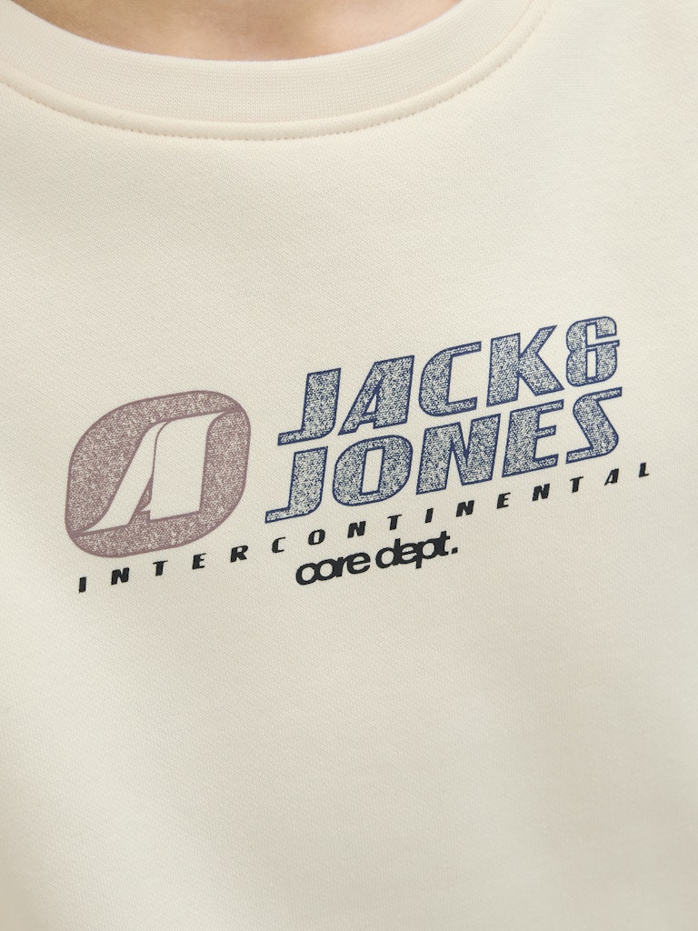 Jack & Jones Jungen Sweatshirt JCOTIER PRINT SWEAT CREW