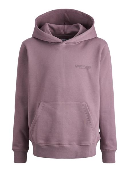 Jack & Jones Jungen Hoodie Kapuzenpullover