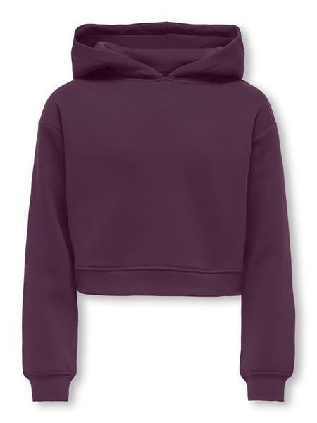 Only Mädchen Hoodie Sweatshirt kurz KOGSWEAT