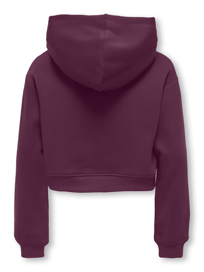 Only Mädchen Hoodie Sweatshirt kurz
