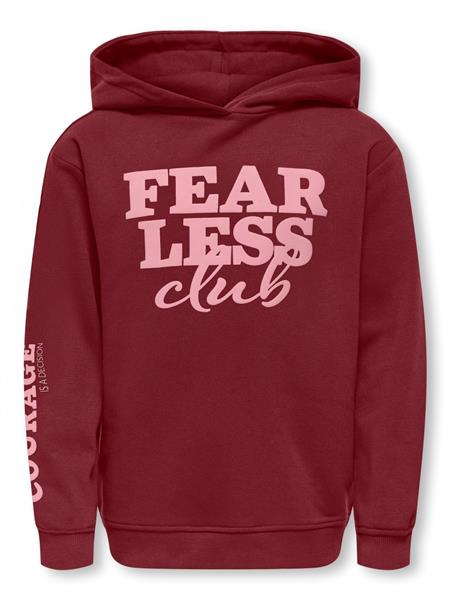 ONLY Mädchen Hoodie regular KOGDIANA LIFE L/S SPORTY HOOD