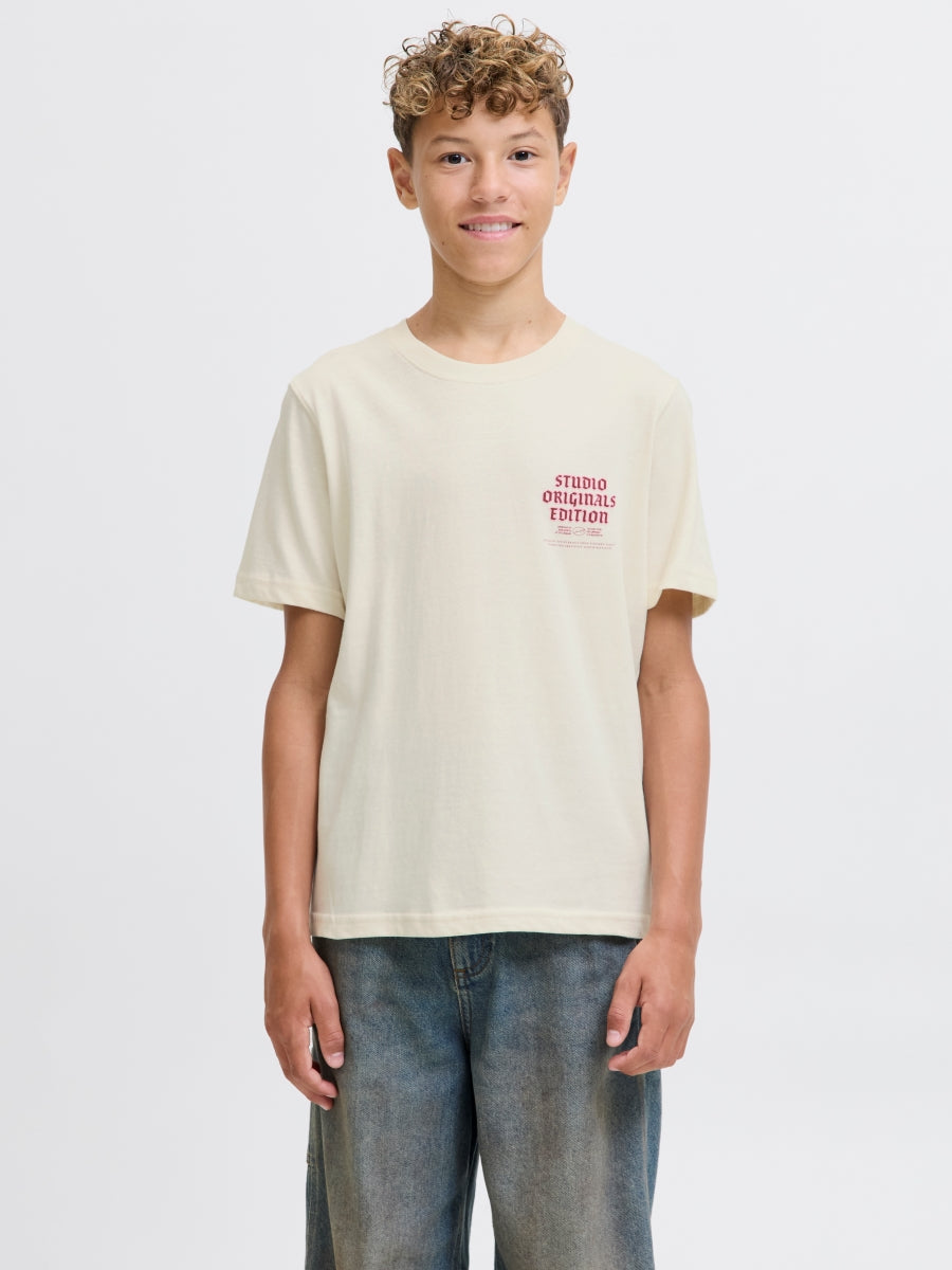 Jack & Jones Jungen T-Shirt JORMEADOWS
