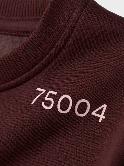 Name it Mädchen Sweatshirt Paris NKFODIKA