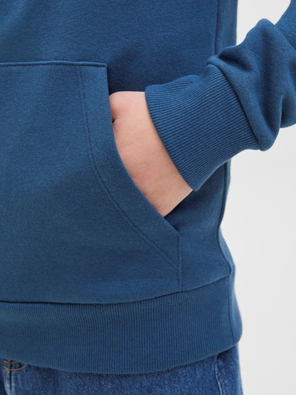 Jack & Jones Jungen Hoodie Kapuzenpullover JJARI