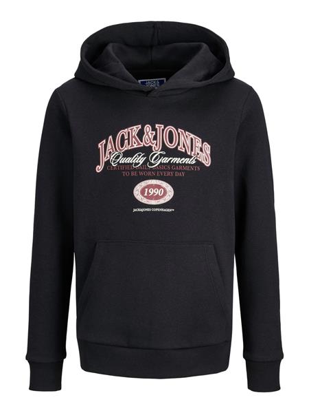 Jack & Jones Jungen Hoodie Kapuzenpullover JJARI