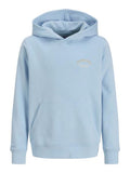 Jack & Jones Jungen Hoodie Kapuzenpullover Rückenprint JJEBRANDES