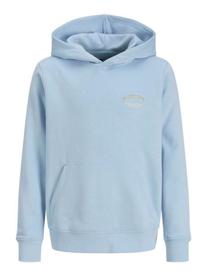 Jack & Jones Jungen Hoodie Kapuzenpullover Rückenprint JJEBRANDES