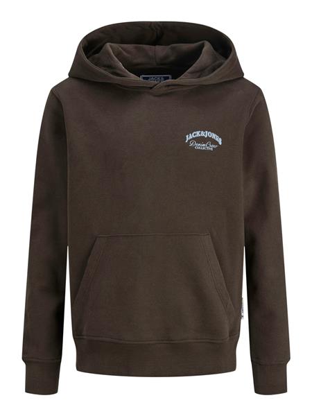 Jack & Jones Jungen Hoodie Kapuzenpullover Rückenprint JJEBRANDES
