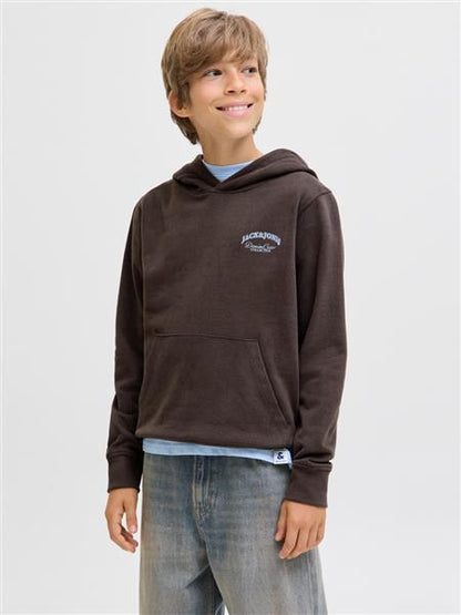 Jack & Jones Jungen Hoodie Kapuzenpullover Rückenprint JJEBRANDES