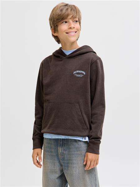 Jack & Jones Jungen Hoodie Kapuzenpullover Rückenprint JJEBRANDES