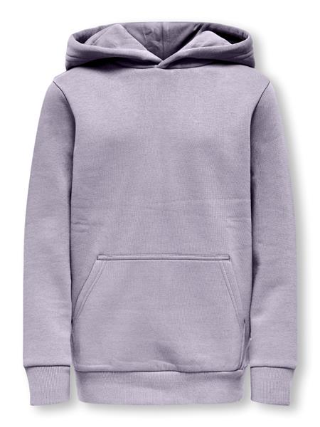 ONLY & SONS Jungen Hoodie OSJCERES