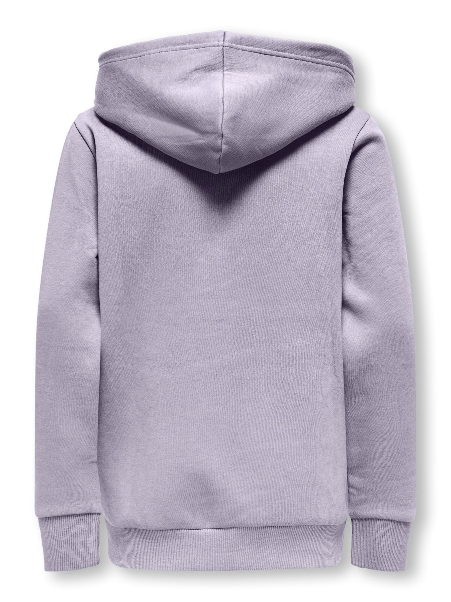 ONLY & SONS Jungen Hoodie OSJCERES